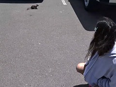 Amatoriale, Asiatica, Pompino, Sborrata, Fidanzata, Hardcore, Punto di vista pov, Pubblico