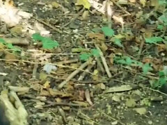 Ondó fröcskölés, Tetkó