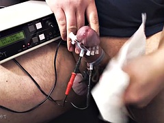 Enthousiasteling, Mooie dikke vrouwen, Grote lul, Sperma shot, Homo, Duits, Hardcore, Speelgoed