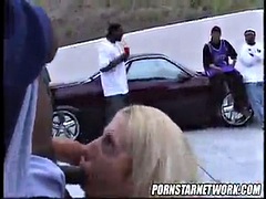 Amatør, Babe, Blond, Kukk suging, Hardcore, Raseblandet, Offentlig, Suging