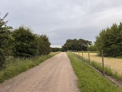 Amatør, Anal, Bdsm, Dildoen, Gaping, Onani, Piercingen, Alene