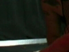 Amatőr, Cumizás, Gesztenyebarna, Német