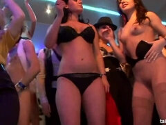 Grosser schwanz, Blondine, Braunhaarige, Fetisch, Hd, Interrassisch, Milf, Party