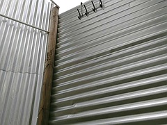 Amatööri, Iso kaunis nainen, Ranta, Eroottinen, Latinankieli, Pehmo