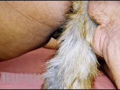 Culo grosso, Scureggiare, Hd, Fatto in casa, Indiana, Nudo, Figa, Succhiando