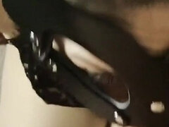 Amaterji, Fafanje, Rjavolaska, Par, Obrazno