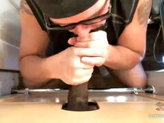 Leie, Schwarz, Schwanz, Interrassisch