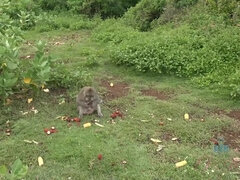 Ερασιτέχνης, Ξανθιά, Η κοπέλα μου, Λεσβία, Πίρσινγκ, Ξυρισμένη, Πείραγμα, Βυζιά