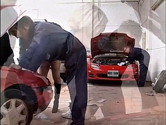 Amatør, Store pupper, Blond, Kukk suging, Bløtkake, Sperm skott, Gruppe, Pupper