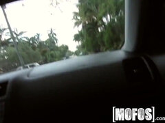 Kotě, Velký zadek, Různé pohledy