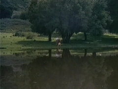 Store pupper, Kukk suging, Sperm skott, Pikk, Hardcore, Hd, Utendørs, Trekant