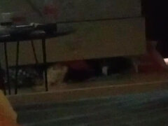 Amatőr, Európai, Kézimunka, Nézőpont