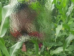 Culo, Clitoris grande, Granja, Hd, Indio, Al aire libre, Público, Tetas