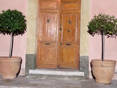 Жопа, Большие сиськи, Черные, Британки, Натуральные сиськи, Киски, Бритые, Соло