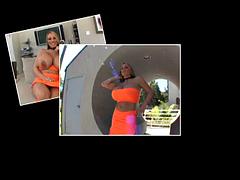 Monumentális dákó, Tekintélyes didik, Cumizás, Ondó fröcskölés, Pornósztárok, Begyek