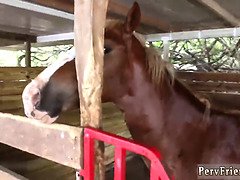 아마추어, 엉덩이, 미인, 하드코어, 수음, 셀카, 볶다, 청소년