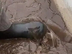 Amateur, Belle grosse femme bgf, Mature, De plein air, Solo