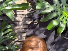 Amatéri, Veľké péro, Kuřba, Latinskej, Vonku, Z pohľadu účastníka, Ryšavé, Natvrdo