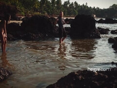 Fekete, Gesztenyebarna, Leborotvált, Begyek