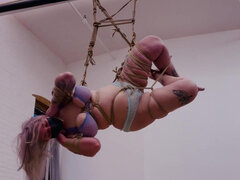 Naravne joške, Solo