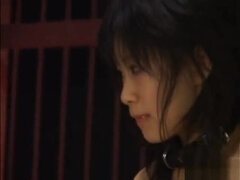 Asiatique, Sucer une bite, Partouze, Hard, Japonaise