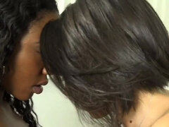 Μεγάλος κώλος, Μαύρος