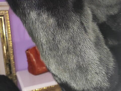 Trying on Fur Coats with a Guy and Fuck