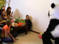 Amatőr, Gesztenyebarna, Csoport, Hd, Buli