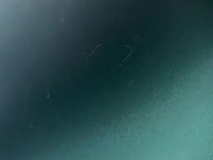 Amador amadora, Bundão, Loiroa, Facesitting, Mulher dominante, Latina, Lésbica, Xoxota