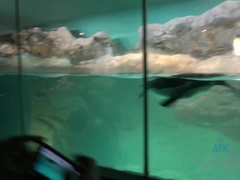 Brunetka, Spermie v puse, Vlasatej, Honění, Masturbácia, Piercing, Z pohľadu účastníka, Kozičky