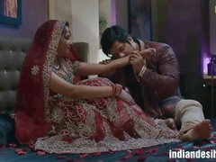 Indian Bhabhi Fest Night Sex