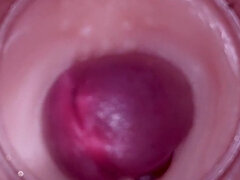 18 let, V zákulisí, Velké péro, Creampie, Různé pohledy, Těhotná, Pička, Teenka