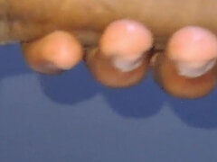 Amatéri, Veľké péro, Indické, Sólo