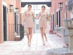 Hairy Lesbians Raylene & Romi's Public Experiment