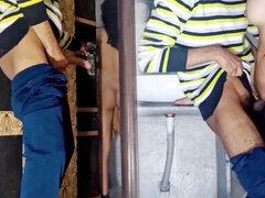 Sucer une bite, Couple, Femelle, Branlette thaïlandaise, Fait maison, Masturbation