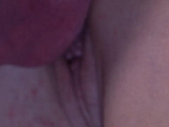 Amatéři, V zákulisí, Velké kozy, Kuřba, Sperma v puse, Německé, Milf žcbp, Jezdectví