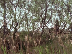 Rumpa, Stor stjärt, Avsugning, Lesbisk, Fitta, Tonåring, Tuttar, Vintage
