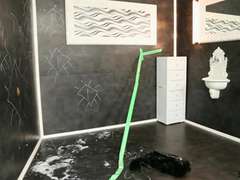 Pompino, Schizzo di sborra, Facciale, Sega