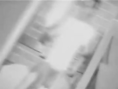 Blottere, Homoseksuel