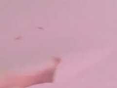 Kokoelma, Piereskely, Soolo