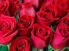 Anál, Teta, Veľký zadok, Pár, Indické, Dospelé, Milf  mčbp, Mamina