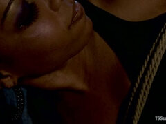 Anaali, Suihinotto, Sidonta, Korkokengät