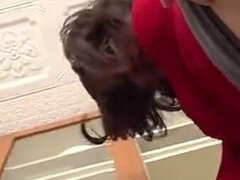 Amatéři, Asijské, Kuřba, Stříkání spermatu, Gangbang, Punčocháče, Pička, Švédská rojka