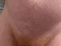 Big Pissing Bear Cock
