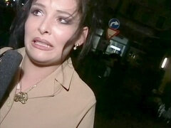 Europeu, Alemãoã, Peludoa, Retrô antigo, Vintage