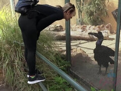 Amatéri, Bikini, Dildo, Exhibicionisti, Priateľka, Na verejnosti, Hračky