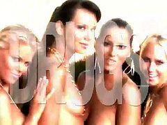 Stor pik, Lingerie, Shemale