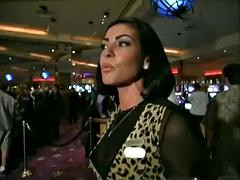 Chica, Compilación, Hotel, Lesbiana, Solo