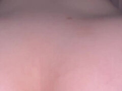 Amatör, Amerikansk, Stor stjärt, Mellanrasig, Pov