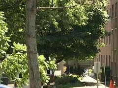 항문, 큰 음경, 오랄섹스, 아빠, 게이, 핸드잡, 청소년, 쓰리섬